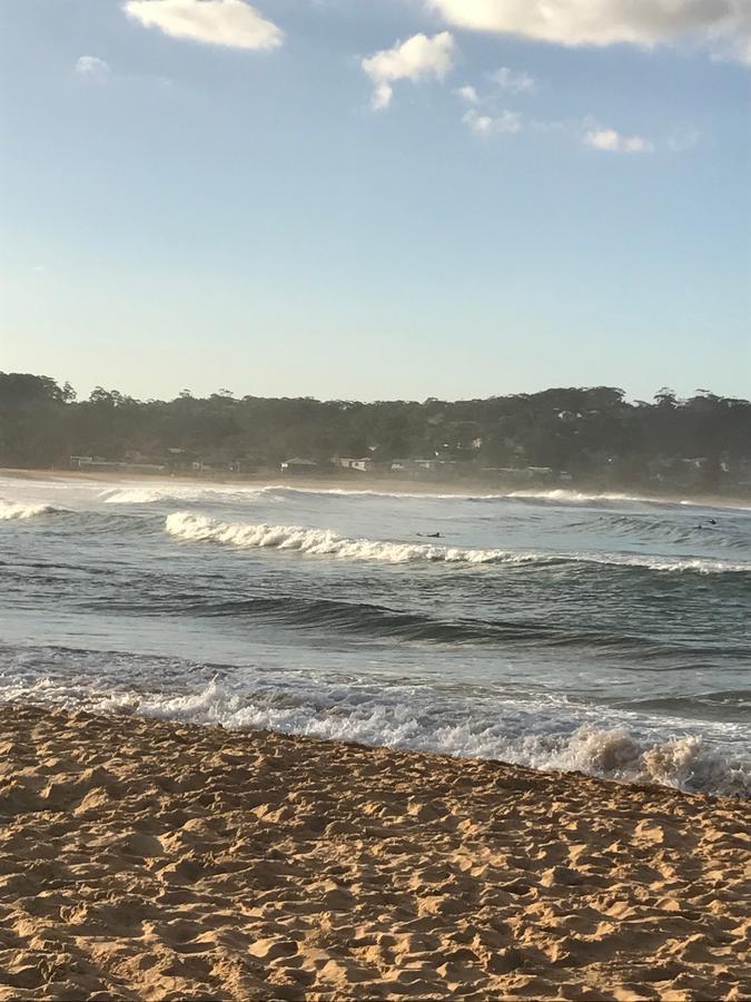 The Beach Hut Avoca Beach Nsw Βίλα Εξωτερικό φωτογραφία